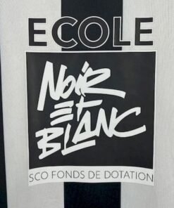 Maglia angers Home 2025/26 Versione Tifoso vista laterale