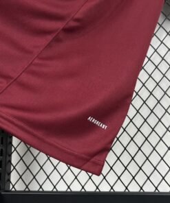 Maglia AS Roma Home 2024/25 Versione Tifoso - vista 2
