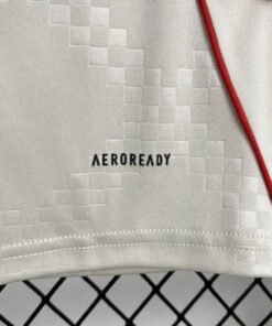 Maglia benfica Away 2025/26 Versione Tifoso tessuto traspirante