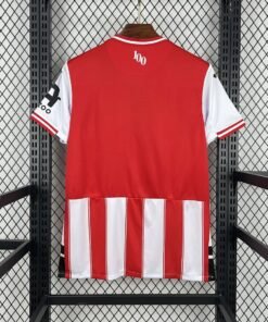 Maglia Brentford Home 2025/26 Versione Tifoso vista posteriore