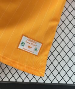 Maglia Cameroon Home 2024/25 Versione Tifoso dettaglio stemma ricamato