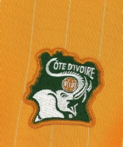 Maglia Cameroon Home 2024/25 Versione Tifoso vista laterale