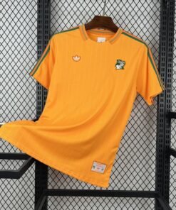 Maglia Cameroon Home 2024/25 Versione Tifoso vista frontale completa