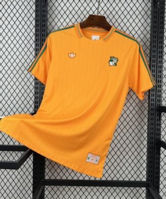 Maglia Cameroon Home 2024/25 Versione Tifoso vista frontale completa