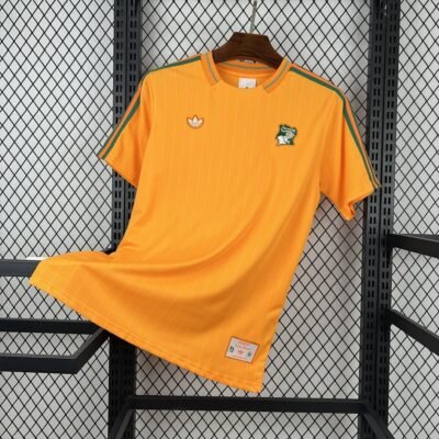 Maglia Cameroon Home 2024/25 Versione Tifoso vista frontale completa