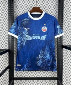 Maglia FC Hansa Rostock Home 2025/26 Versione Tifoso dettaglio stemma ricamato