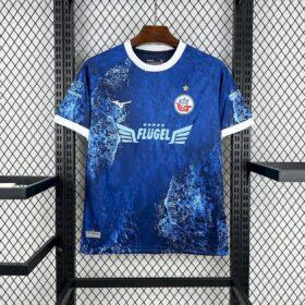 Maglia FC Hansa Rostock 2025/26 — Dettaglio prodotto