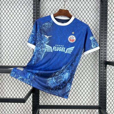 Maglia FC Hansa Rostock 2025/26