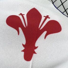 Maglia Fiorentina 1998/99 Retro — Foto 3
