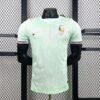 Maglia France Away 2024/25 Versione Giocatore vista frontale completa