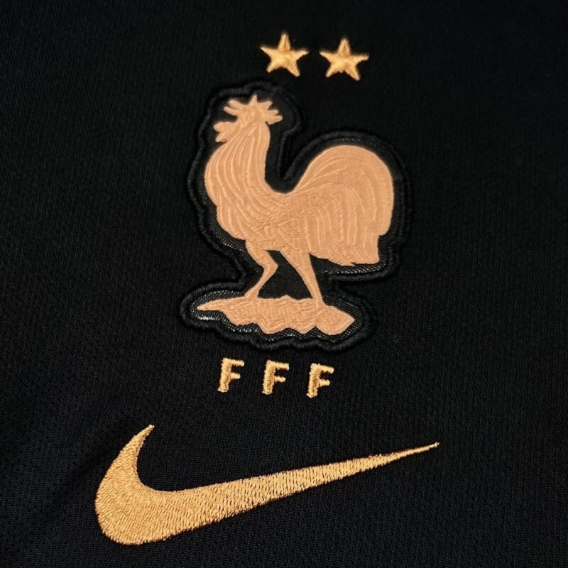 maglia da portiere francia dettaglio