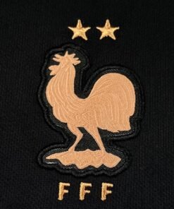Maglia France Keeper 2024/25 Versione Tifoso vista laterale