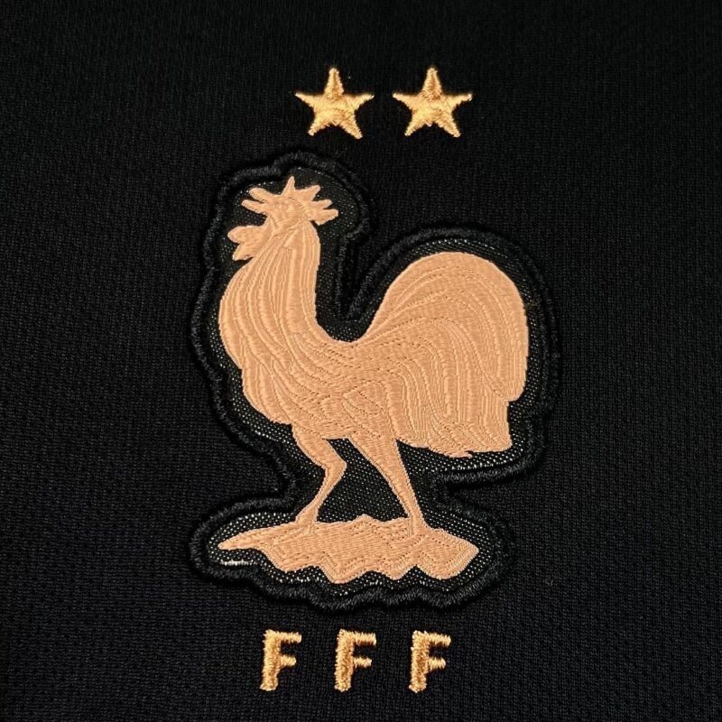 maglia da portiere francia vista