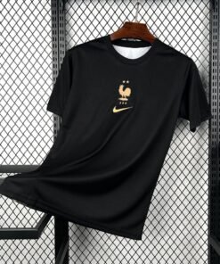 Maglia France Keeper 2024/25 Versione Tifoso vista frontale completa