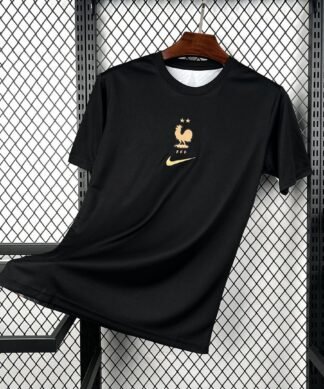 Maglia France Keeper 2024/25 Versione Tifoso vista frontale completa