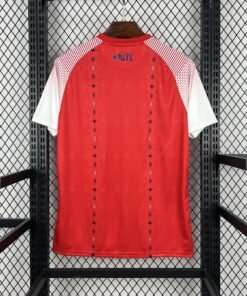 Maglia Haiti Third 2024/25 Versione Tifoso vista posteriore