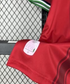 Maglia Hannover 96 Home 2024/25 Versione Tifoso vista laterale