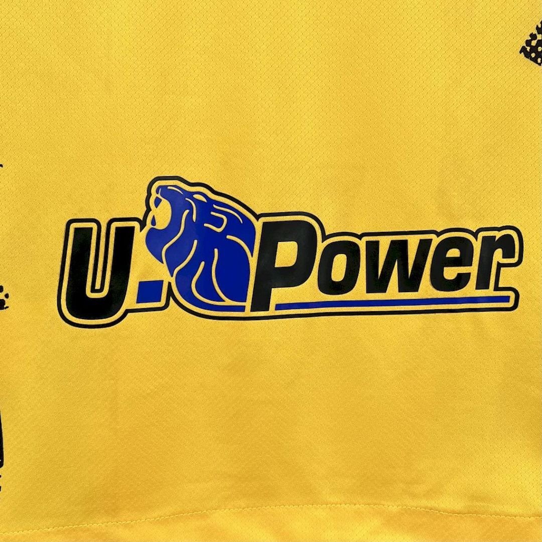 Maglia Inter Third 2024/25 Versione Tifoso vista posteriore