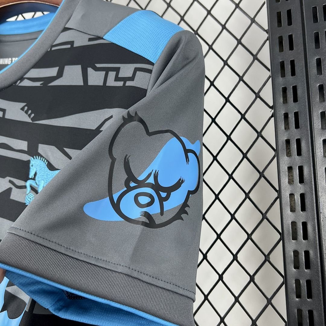 Maglia Ipswich Town FC Third 2025/26 Versione Tifoso vista laterale