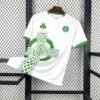 Maglia ireland celtic cross false9 retro - Maglia Ireland Celtic Cross False9 Home 2025/26 Retro vista frontale completa