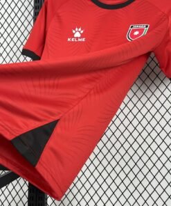 Maglia Jordan Away 2024/25 Versione Tifoso dettaglio stemma ricamato