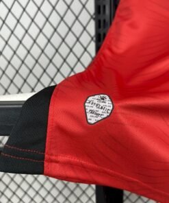 Maglia Jordan Away 2024/25 Versione Tifoso vista laterale