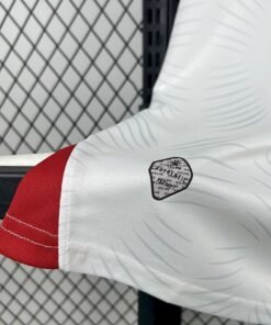 Maglia Jordan Home 2024/25 Versione Tifoso vista laterale