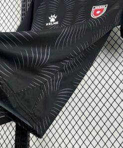 Maglia Jordan Third 2024/25 Versione Tifoso vista laterale