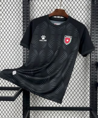 Maglia Jordan Third 2024/25 Versione Tifoso vista frontale completa
