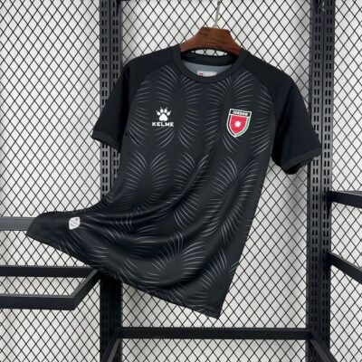 Maglia Jordan Third 2024/25 Versione Tifoso vista frontale completa