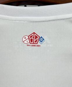 Maglia lille Away 2024/25 Versione Tifoso vista posteriore