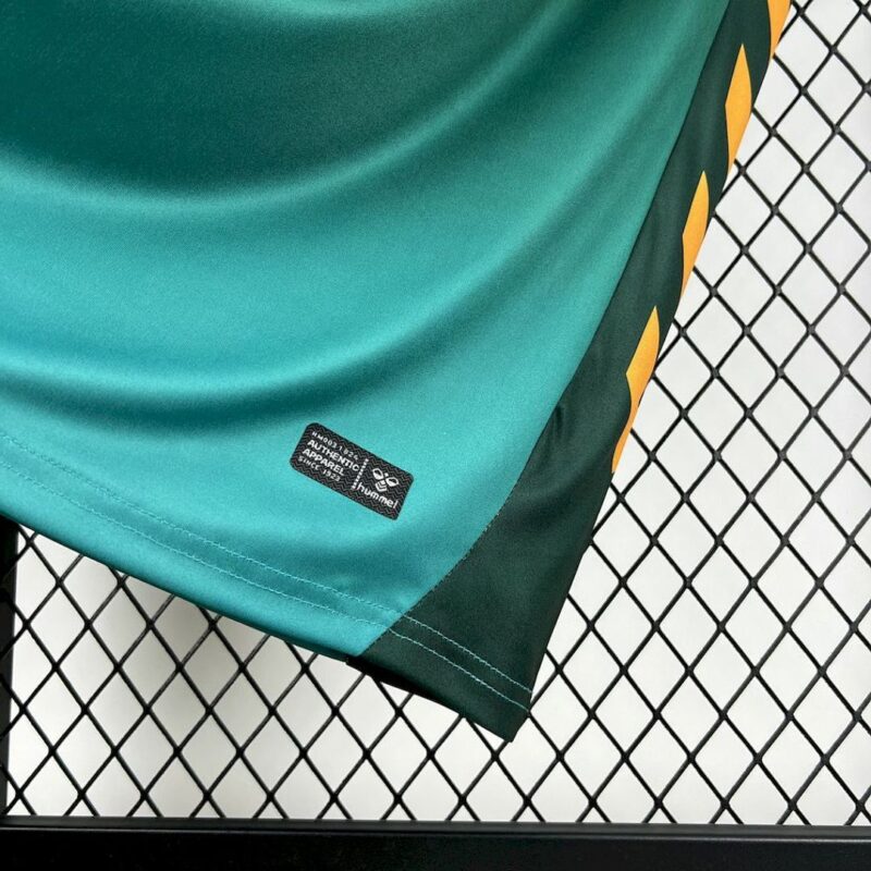maglia werder bremen special particolare