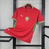 Maglia Morocco Home 2024/25 Versione Tifoso vista frontale completa
