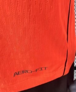 Maglia Netherlands Home 2024/25 Versione Giocatore vista posteriore