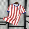 Maglia Paraguay Home 2024/25 Versione Tifoso vista frontale completa