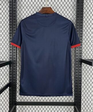 Maglia paris saint-germain retro - Maglia Paris Saint-Germain Home 2013/14 Retro vista posteriore