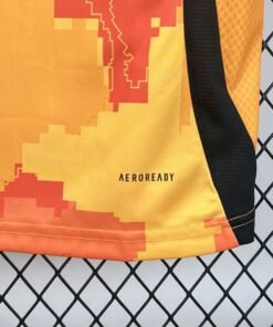 Maglia Paris Saint-Germain Third 2024/25 Versione Tifoso vista laterale