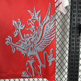 Camiseta Perugia 1998/99 Retro — Foto 2