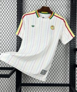 Maglia Senegal Home 2024/25 Versione Tifoso vista frontale completa