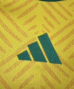 Maglia South Africa Home 2024/25 Versione Tifoso tessuto traspirante