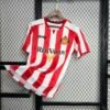 Maglia sunderlandl retro - Maglia Sunderlandl Home 2005/06 Retro vista frontale completa