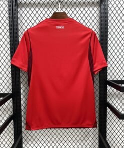 Maglia Turkiye Home 2024/25 Versione Tifoso vista posteriore