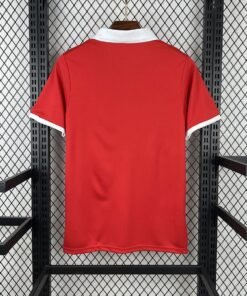 Maglia Wales Home 2024/25 Versione Tifoso vista posteriore