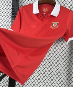 Maglia Wales Home 2024/25 Versione Tifoso dettaglio stemma ricamato