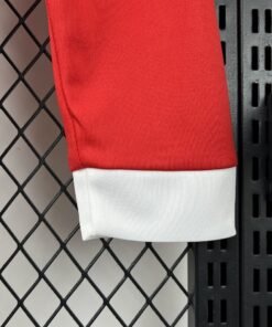 Maglia Wales Home Manica Lunga 2024/25 Versione Tifoso dettaglio stemma ricamato