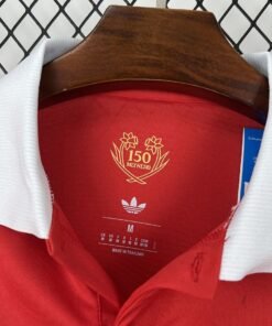 Maglia Wales Home Manica Lunga 2024/25 Versione Tifoso vista laterale