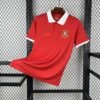 Maglia Wales Home 2024/25 Versione Tifoso vista frontale completa