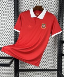 Maglia Wales Home 2024/25 Versione Tifoso vista frontale completa