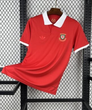 Maglia Wales Home 2024/25 Versione Tifoso vista frontale completa