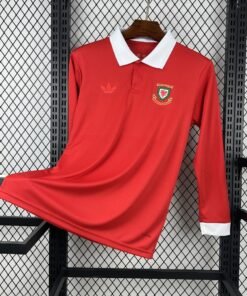 Maglia Wales Home Manica Lunga 2024/25 Versione Tifoso vista frontale completa